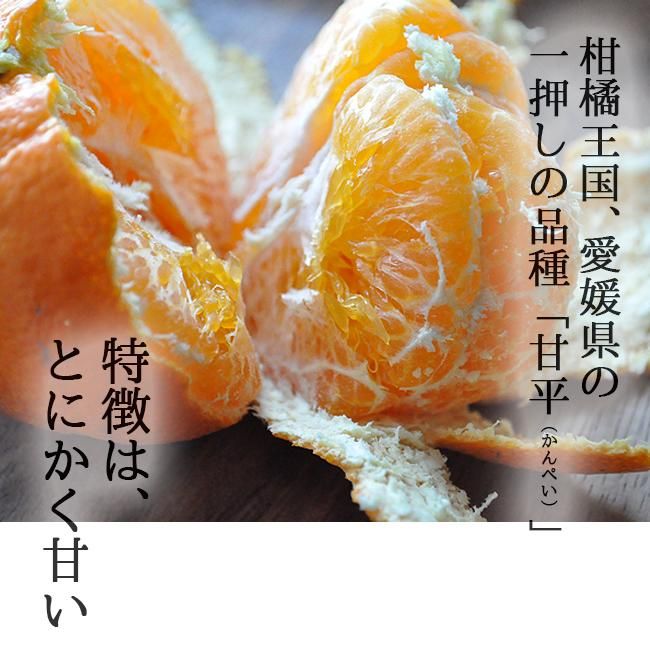 甘平（かんぺい）5kgのお取り寄せ販売（通販）送料無料でお届け
