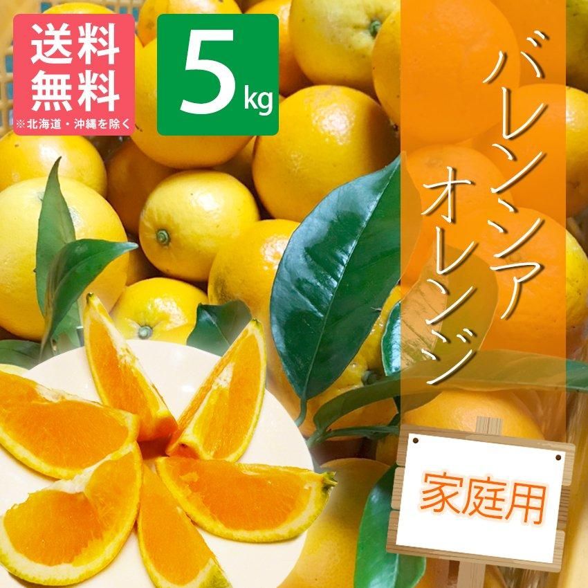 家庭用】 和歌山県産 バレンシアオレンジ5kg | 有田みかん 和歌直