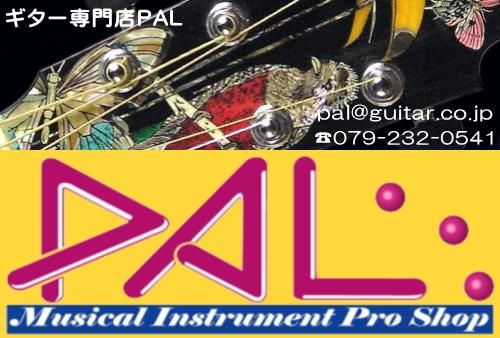 PhotoGenic TL-180 SBL エントリーセット【新品】西日本限定カラー(See