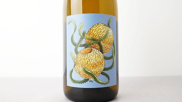 4500] CHARDONNAY 2022 BORACHIO / シャルドネ 2022 ボラーチオ