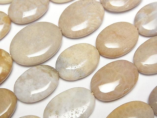 フォシルコーラル（化石珊瑚） フラットオーバル｜天然石ビーズの卸