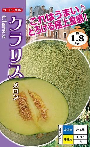 クラリス （極上食感メロン） - 家庭de菜園～うぇぶたねやさん～
