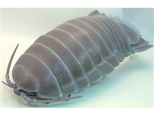 ネイチャーテクニカラー ダイオウグソクムシの製品画像 - 価格.com