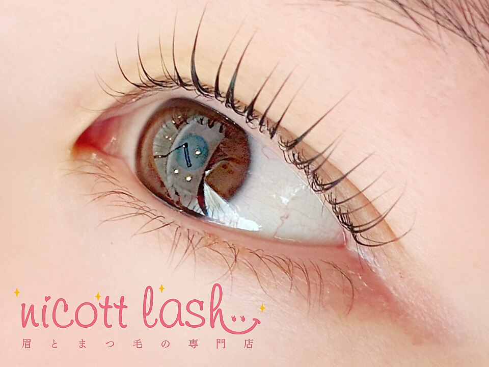 ニコットラッシュ 天王寺店(nicott lash)｜ホットペッパービューティー