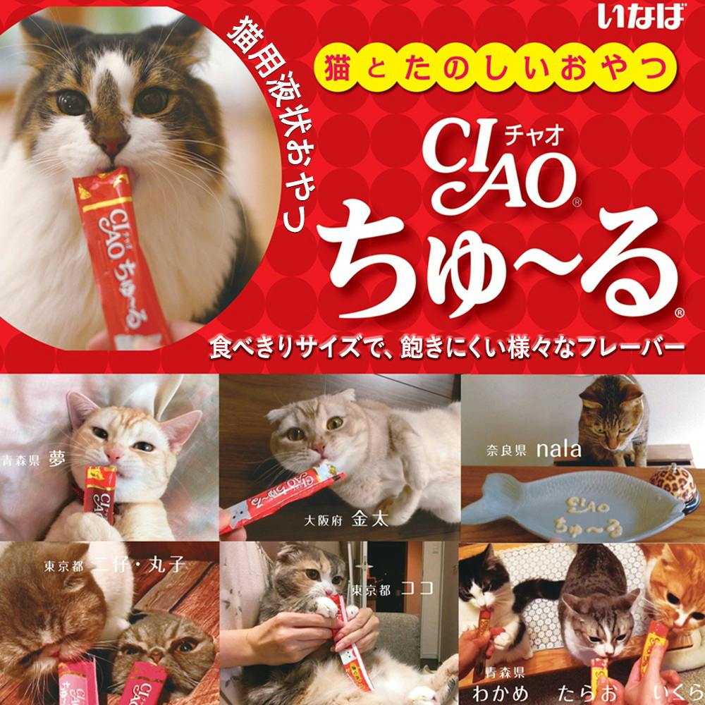 CIAO ちゅ〜る まぐろ とりささみ 40本入り 20袋セット 計804本 CIAO