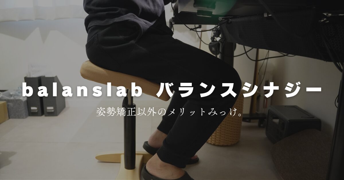 バランス シナジーレビュー：あ、腰痛対策椅子の最適解ってこれだ