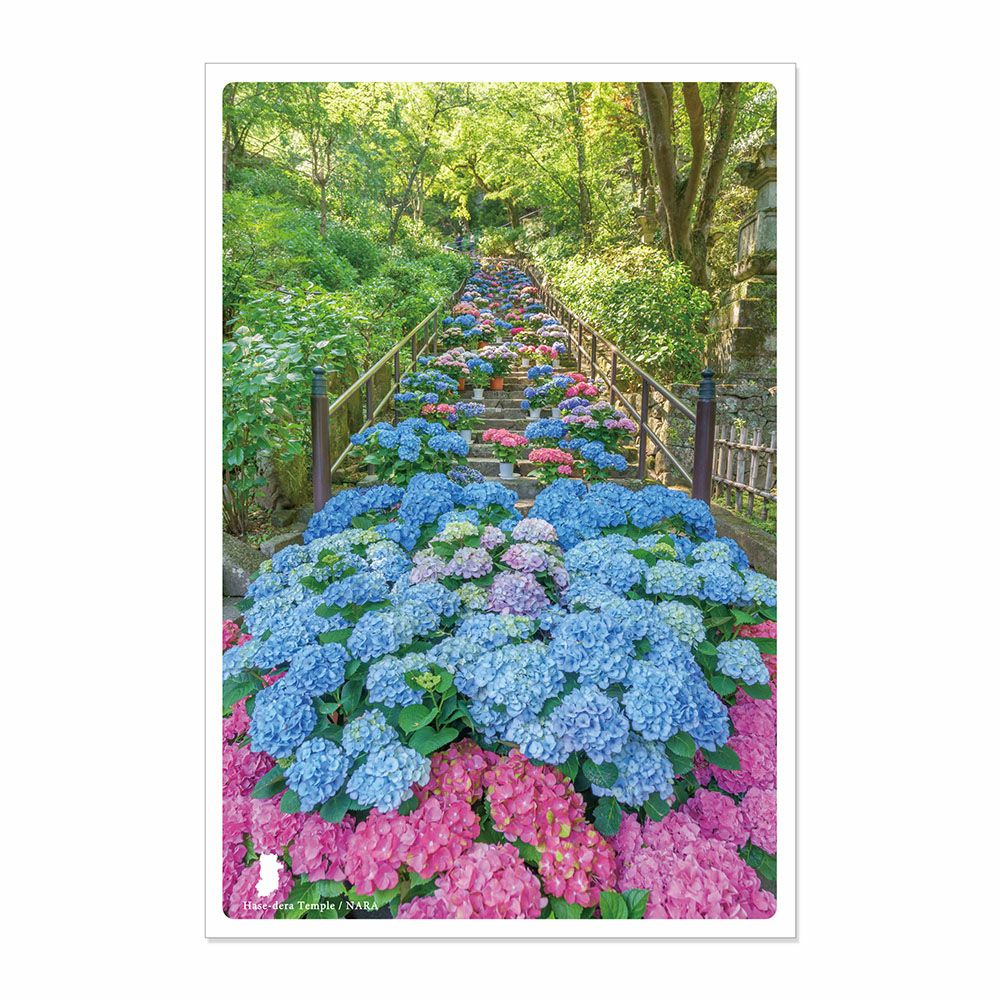 日本の絶景ポストカード ～春～ 長谷寺/奈良 | いろはショップオンライン