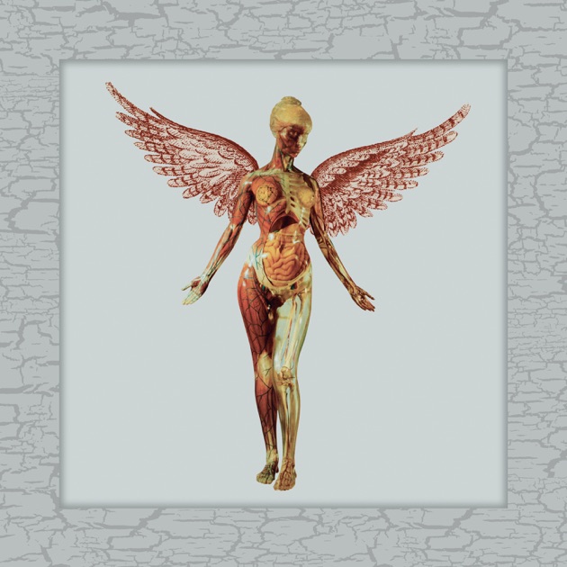 In Utero (20th Anniversary Edition) - Album by Nirvana - Apple Music