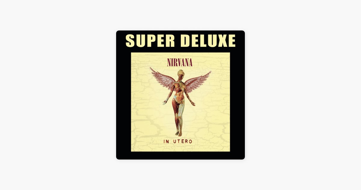 In Utero (20th Anniversary Super Deluxe Edition) - Album by