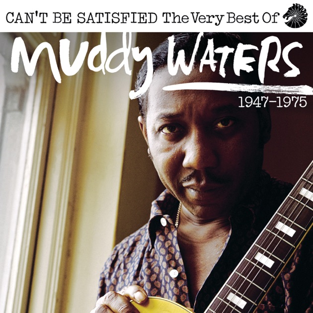 Muddy Waters At Newport 1960 - マディ・ウォーターズのアルバム