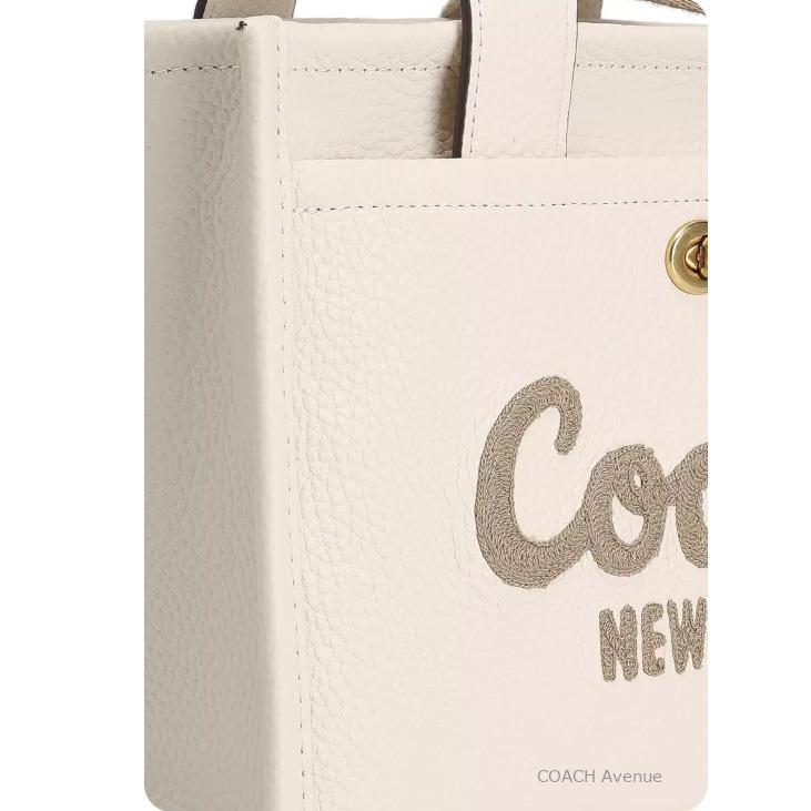 COACH（コーチ） ホリデーセール COACH CAM66 カーゴ トート バッグ 26