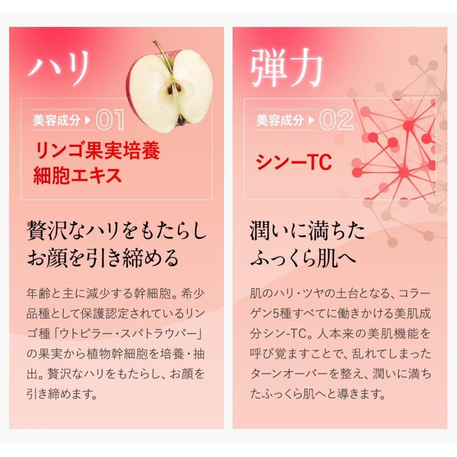 エニシー グローパック 10回分 【リニューアル前商品】 正規品 送料