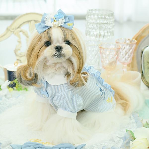 CanNana アリス 不思議の国のアリス ブルー 犬服 シャツ トップス