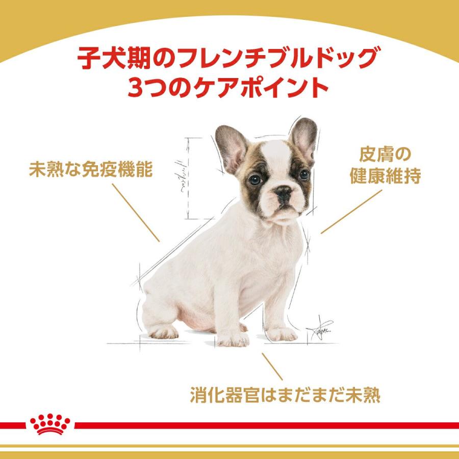 ロイヤルカナン（ROYAL CANIN） 送料無料 フレンチブルドッグ 子犬用
