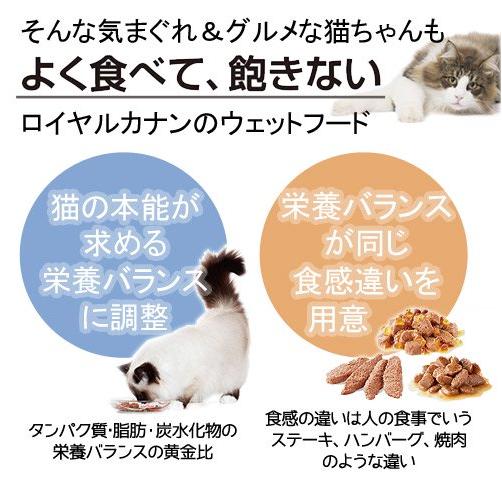 ロイヤルカナン（ROYAL CANIN） 子猫 成長後期の子猫用 食べ比べセット