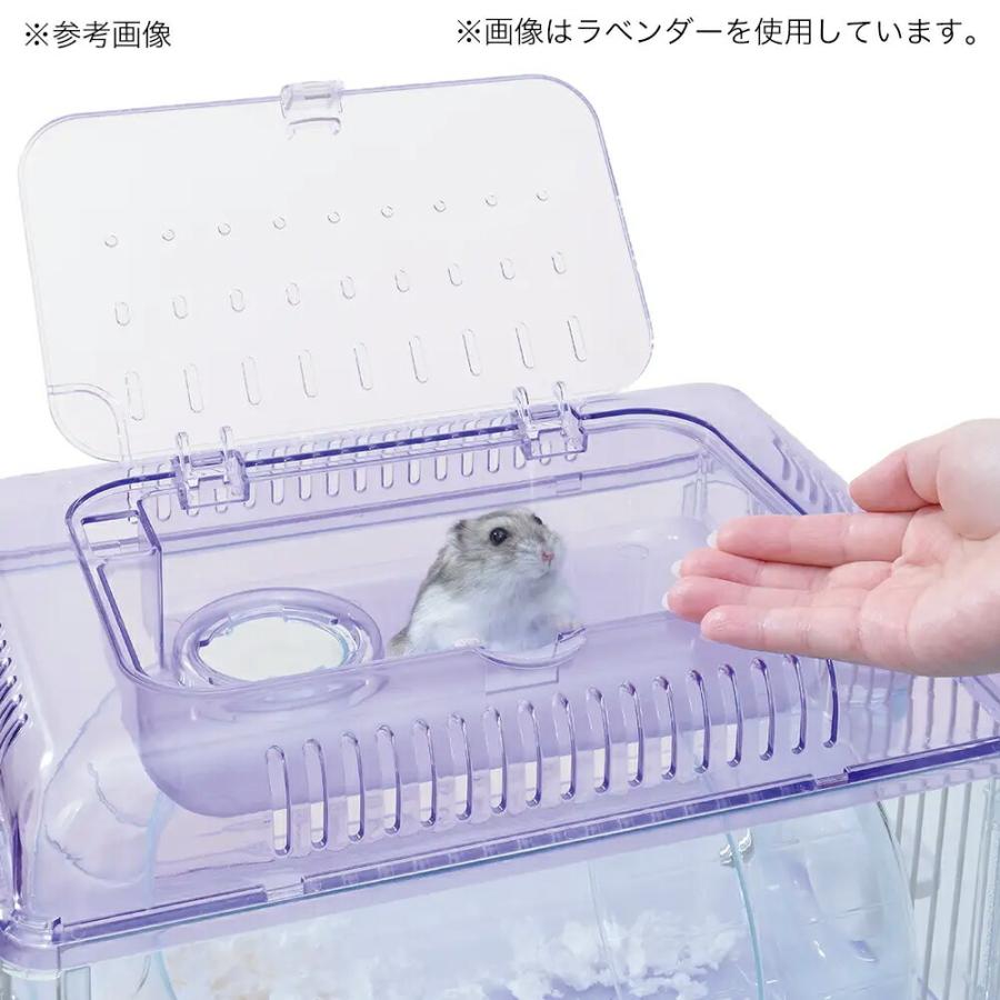 GEX クリアフロント30飼育セット（ケージ＆敷材＆給水器