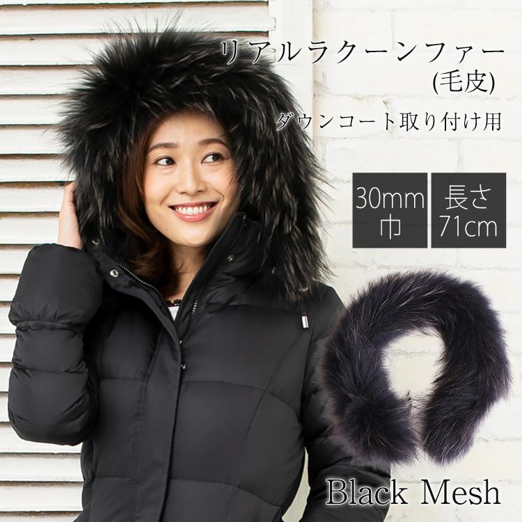 Amian House（アミアン・ハウス） ラクーン30mm ブラック メッシュ