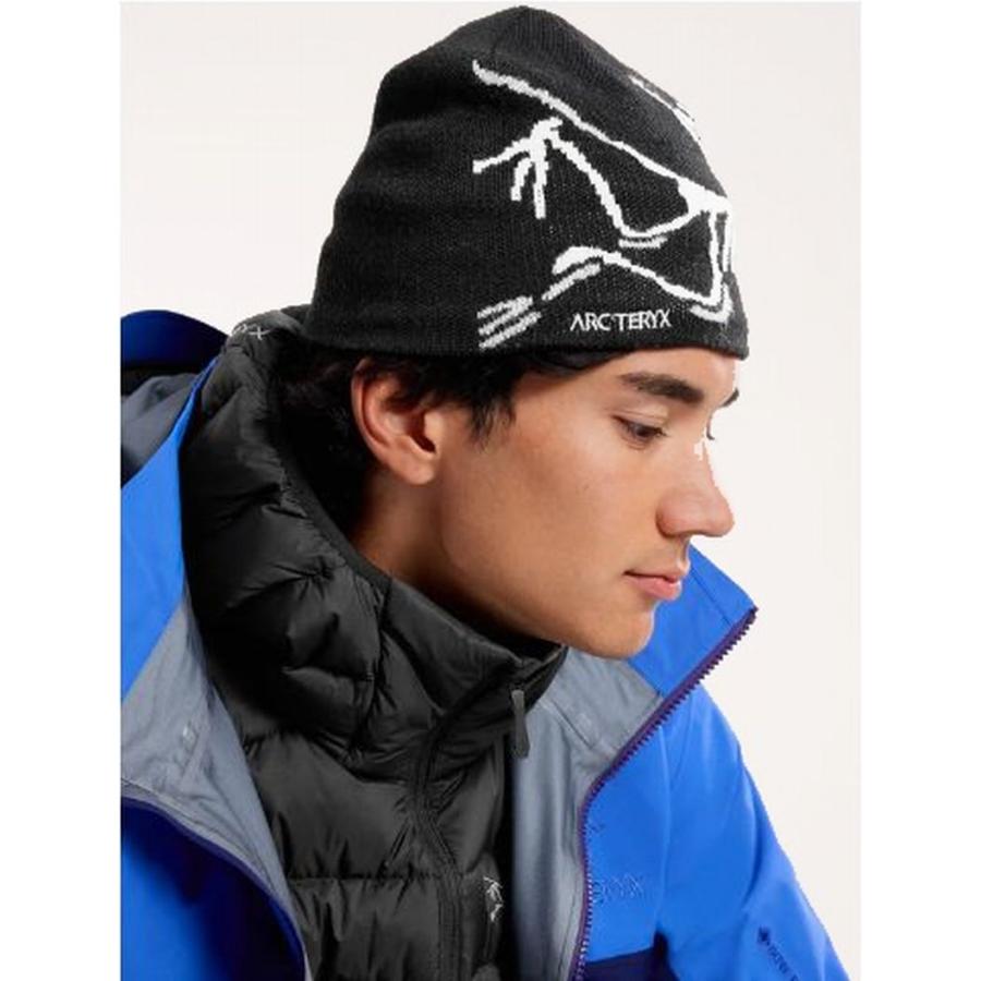 ARC'TERYX（アークテリクス） アウトドア ARC'TERYX Bird Head Toque