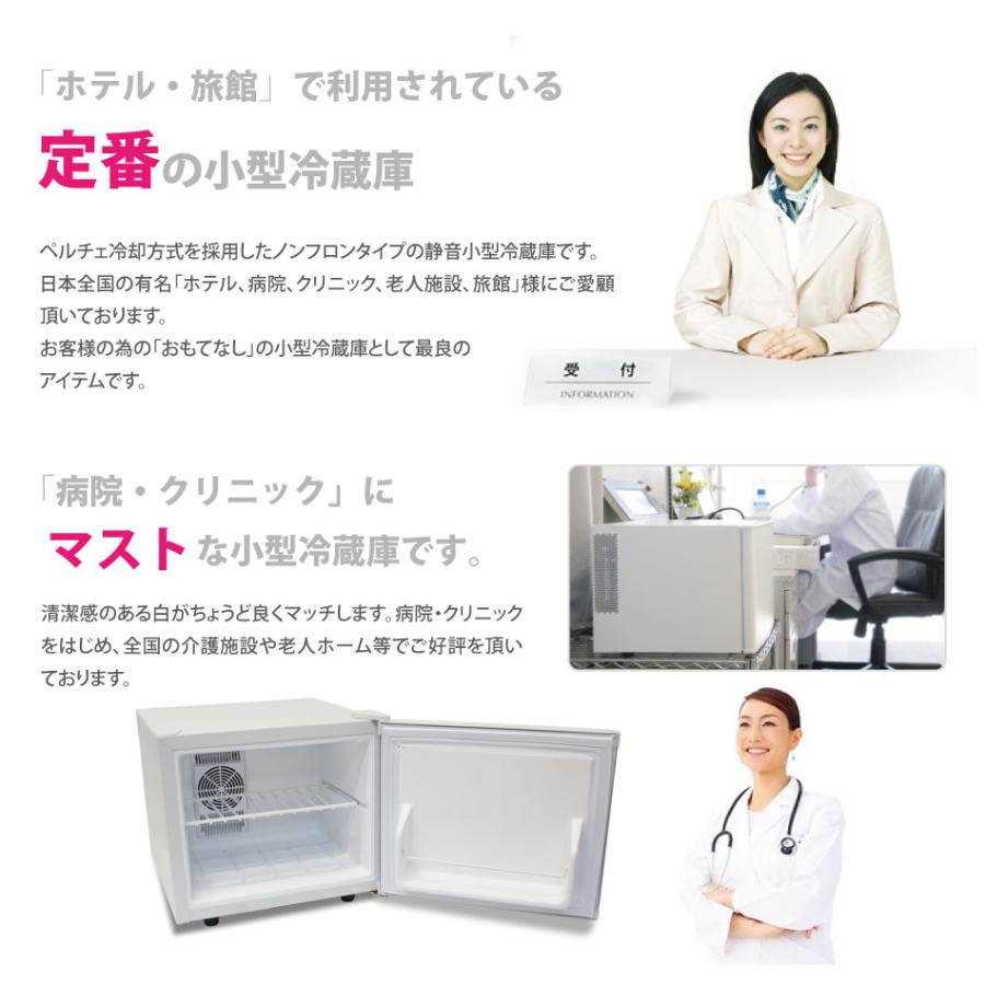小型冷蔵庫 メーカー1年保証 省エネ17リットル型 Peltismペルチィズム