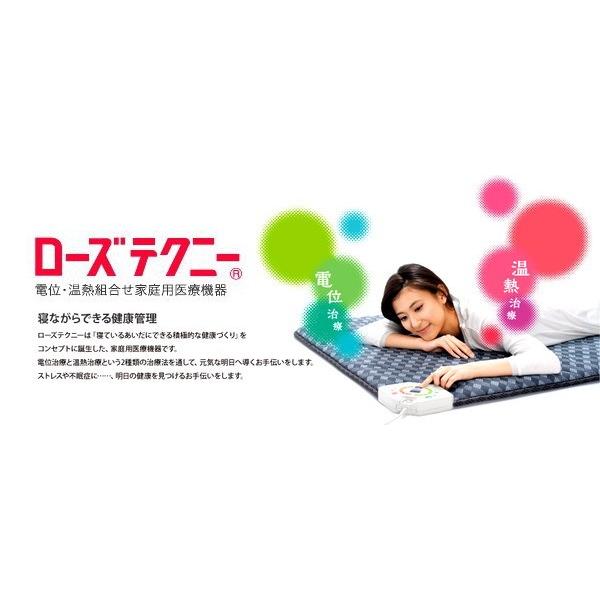 西川（nishikawa） ローズテクニー 健康敷ふとん LS2 シングルサイズ
