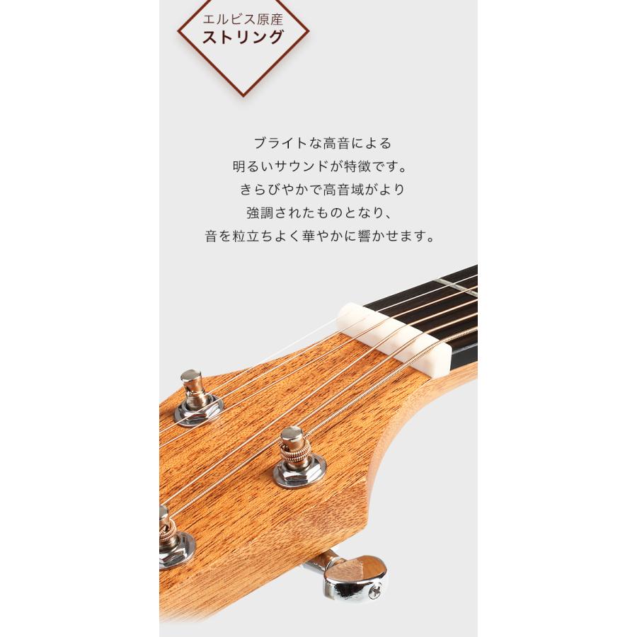 初心者定番9点セット】ELVISエルビス Master Mini 10・抱えやすい本格