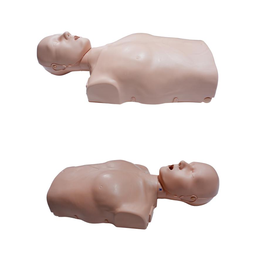 Prestan 心肺蘇生 CPR マネキン 大人用 トレーニングマネキン 心臓