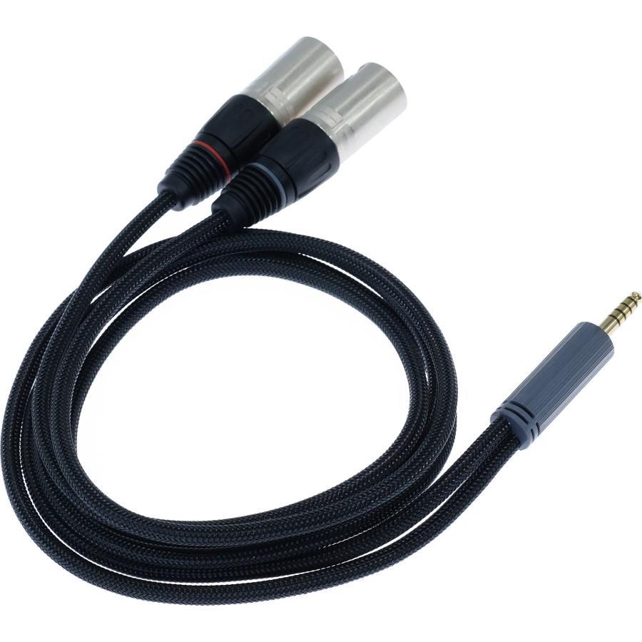 iFi audio（アイファイオーディオ） iFi Audio 4.4 to XLR cable SE