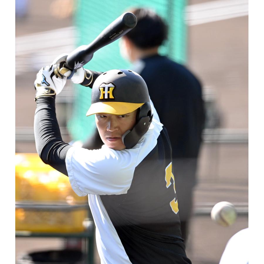 バレルバット ワンハンド ONE-HAND ※阪神 大山選手 巨人 岡本選手など