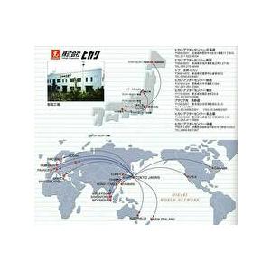 光 ヒカリシザー Koryu JUNIR 507 光龍 6.0インチ 送料無料 BC-D V-1