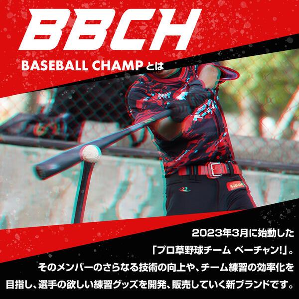 野球 練習 スクウェアバッティングネット スチール製 2.1m×2.1m 硬式