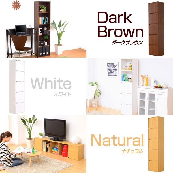 A4サイズ収納OK！ 扉付きカラーボックス 5段 / 扉付き収納棚 激安 安い