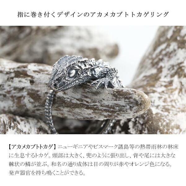 Cold I's アカメカブトトカゲ 巻きつき リング 9〜23号 シルバー925
