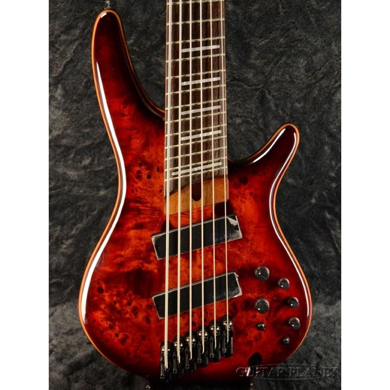 Ibanez（アイバニーズ） Ibanez SRMS806 -Brown Topaz Burst-《ベース