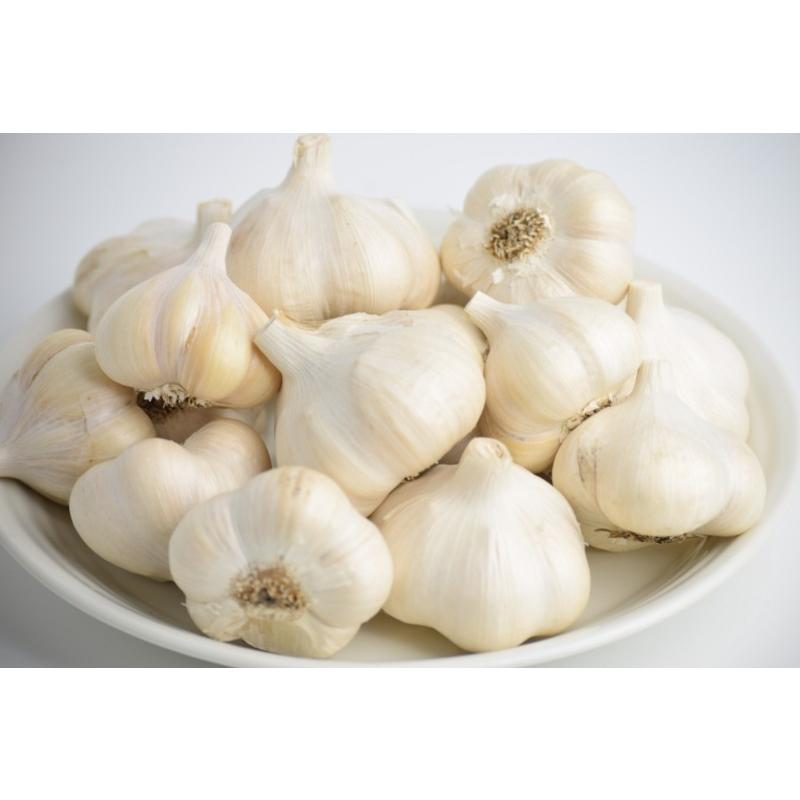 にんにく 10kg M玉サイズ以上混合 青森 生産者直送 送料無料 青森