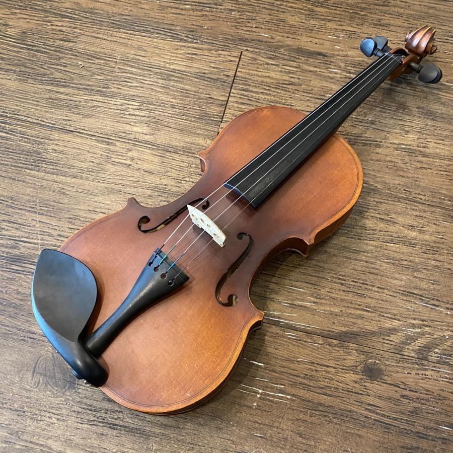 Hallstatt V-12 String Instrument ハルシュタット バイオリン