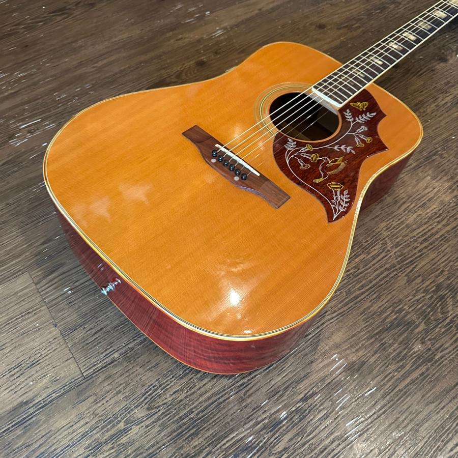 ARIA（アリア） Aria WH-25 1970年代 ハミングバード コピー Acoustic
