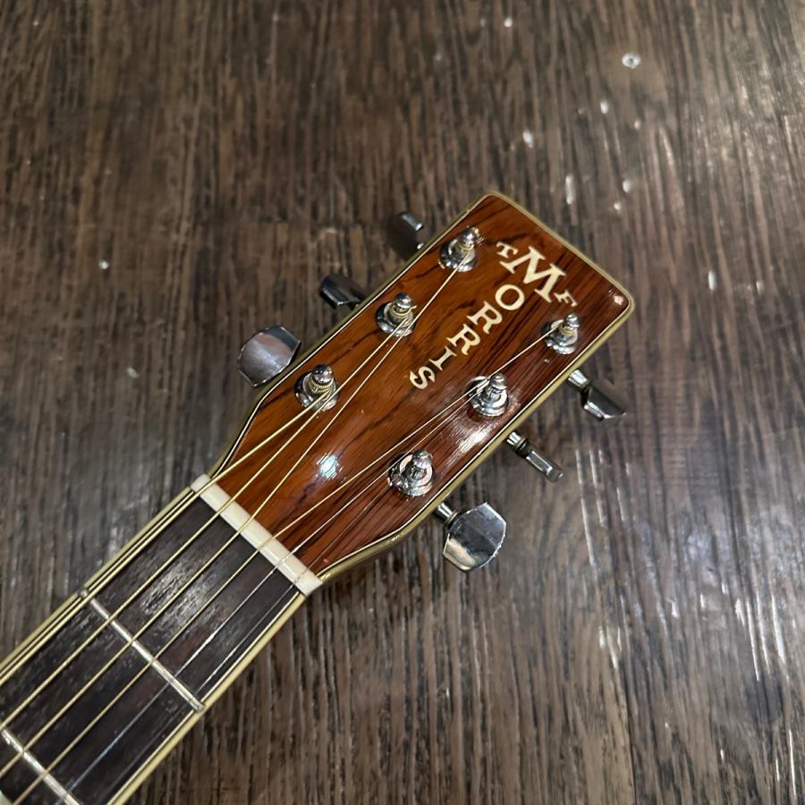 Morris Morris W-60 TF Acoustic Guitar Made in Japan