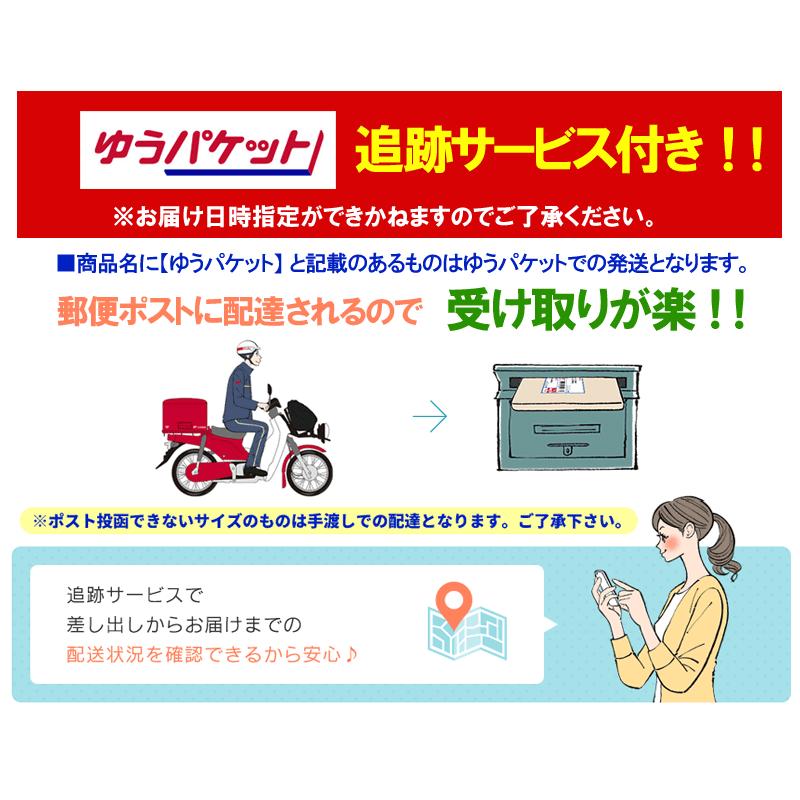 第一三共ヘルスケア 【送料無料・メール便】【第一三共ヘルスケア