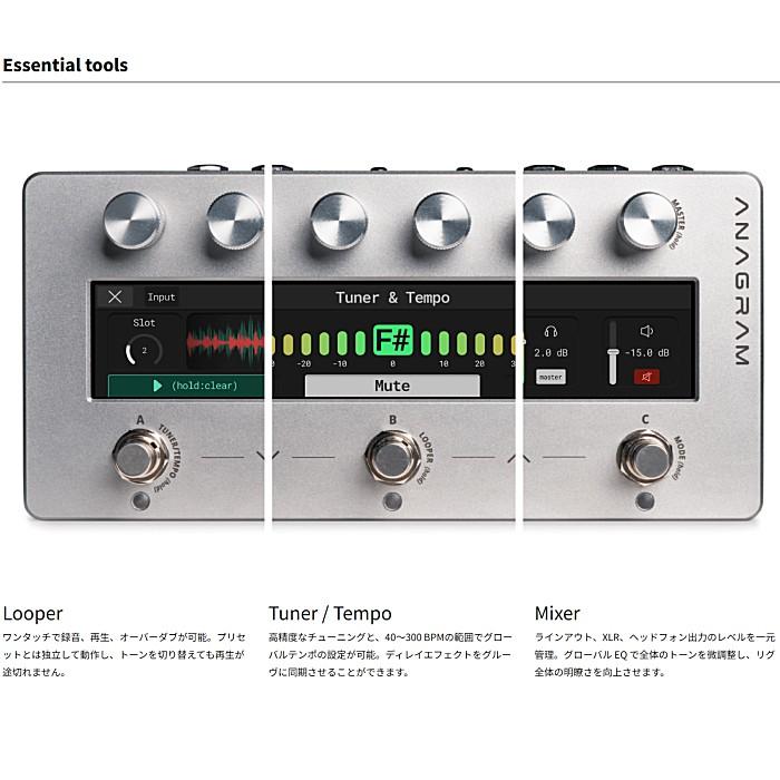 Darkglass Electronics Darkglass Electronics ANAGRAM ダークグラス