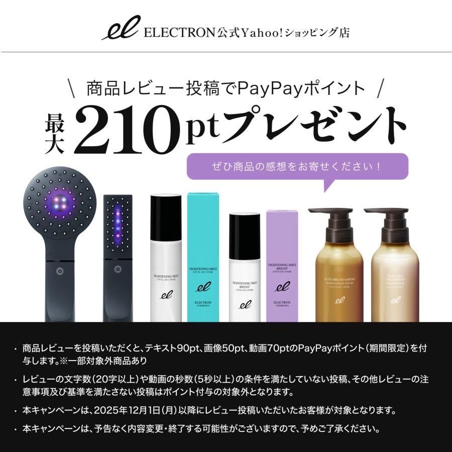 ELECTRON（エレクトロン） エレクトロン公式 2本組 デンキバリブラシ