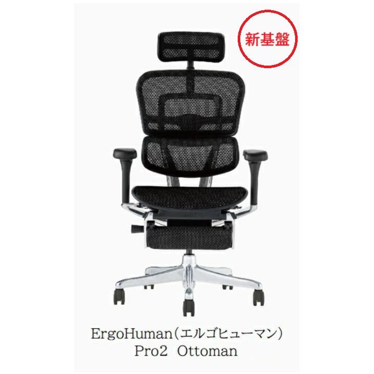 エルゴヒューマン（Ergohuman） 【組立配送無料/レビュー特典有/要在庫