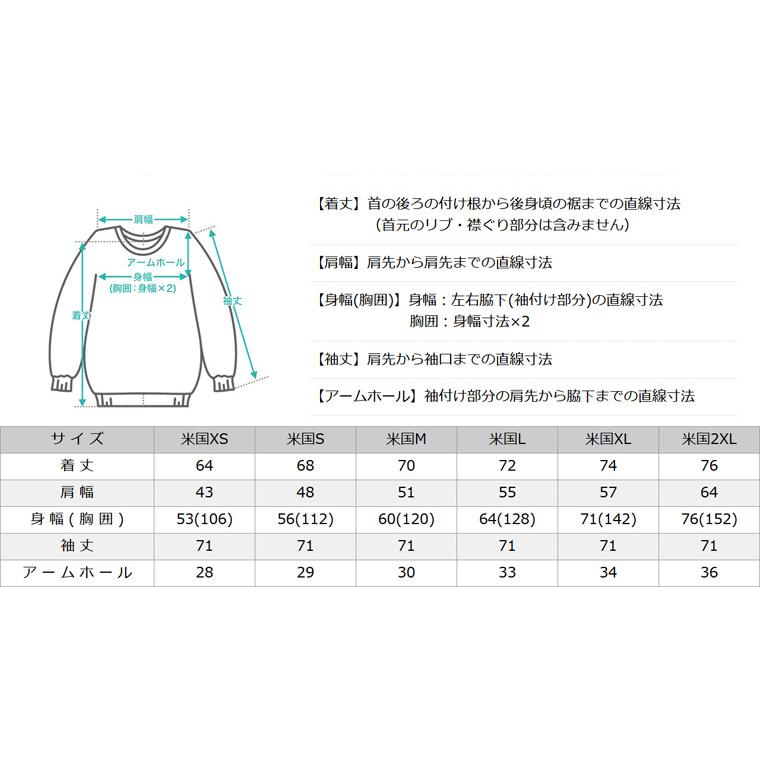 Champion（チャンピオン） リバースウィーブ usa 大きいサイズ メンズ