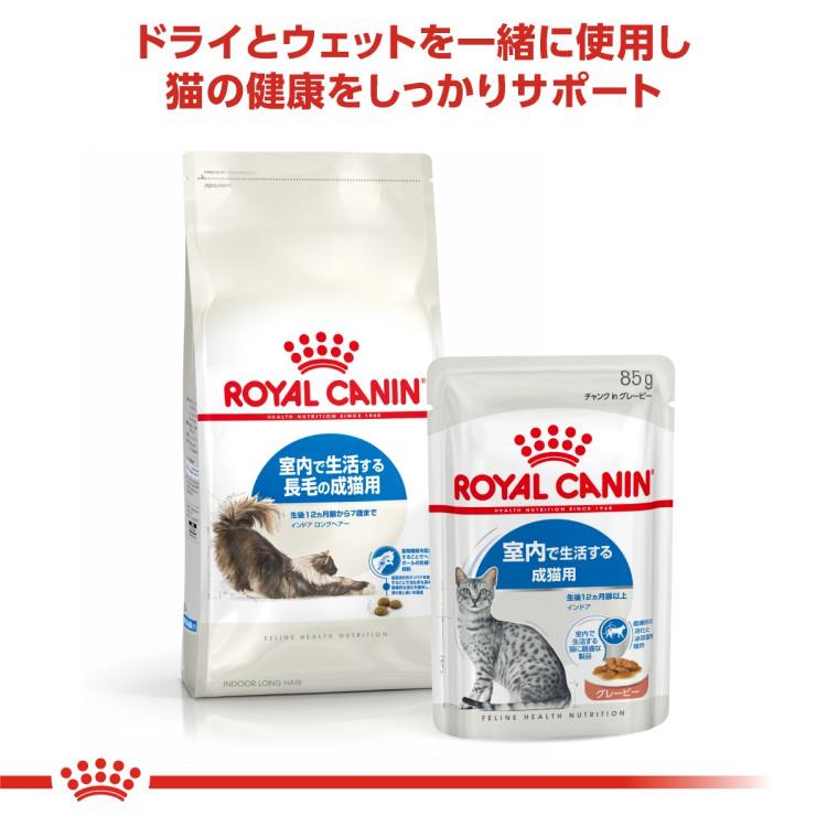 ロイヤルカナン（ROYAL CANIN） FHN インドア ロングヘアー 室内で生活