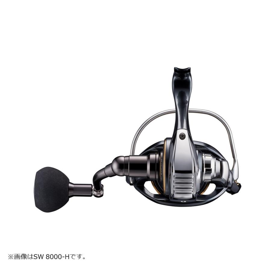 DAIWA（ダイワ） 22カルディア SW 10000-H（CALDIA） : フィッシング