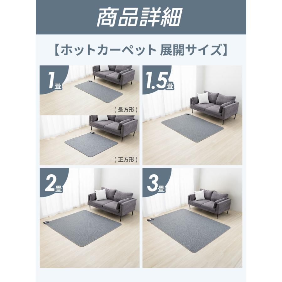 FREEDAN ホットカーペット 1畳 一畳 本体 約176×88cm 長方形 電気