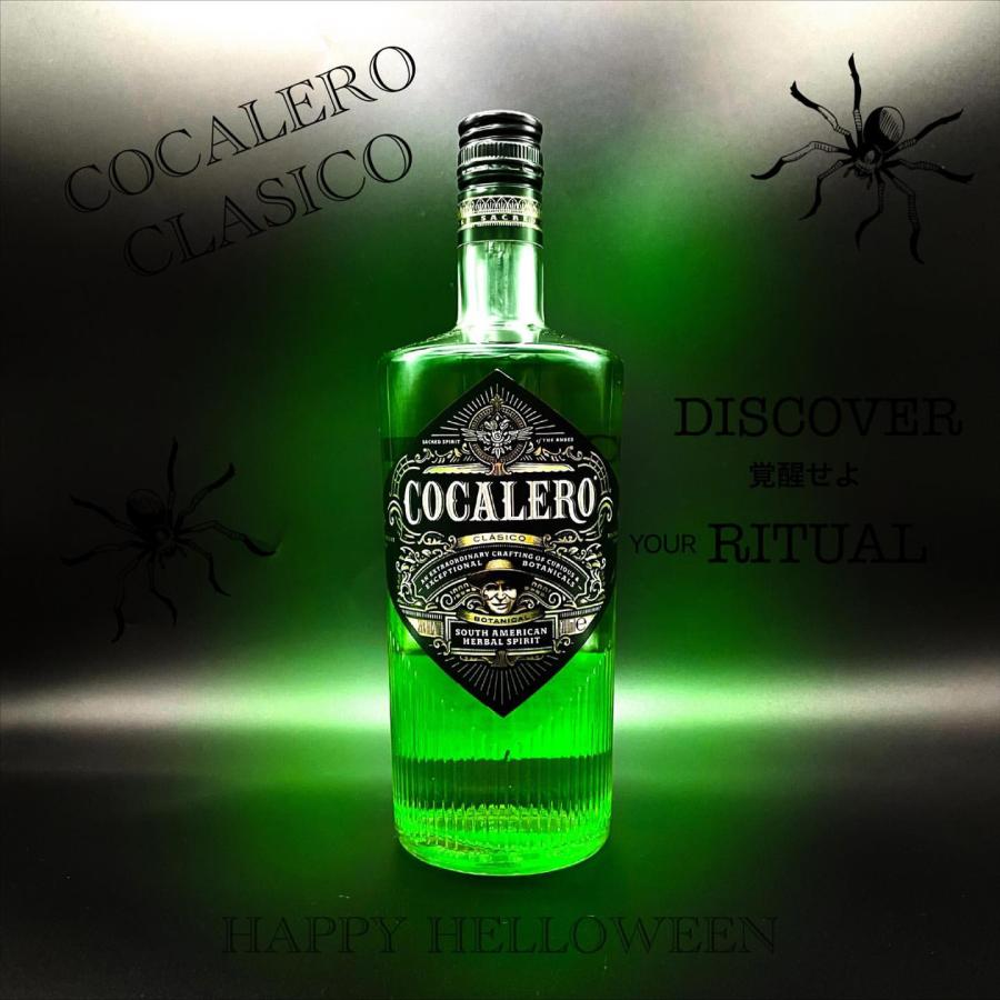 COCALERO（コカレロ） クラシコ ハーブ リキュール 29度 700m? RS