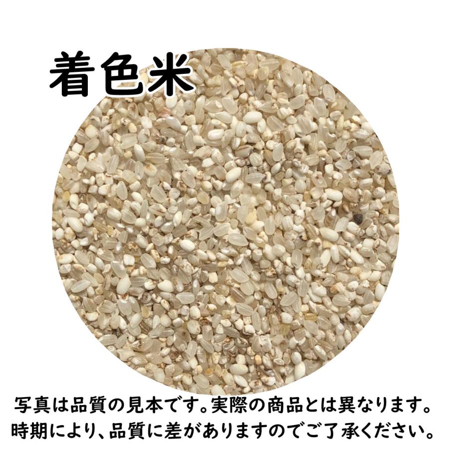 鳥の餌 着色米 エサ 20kg 「着色米20kg」（ちゃくしょくまい） : 米屋