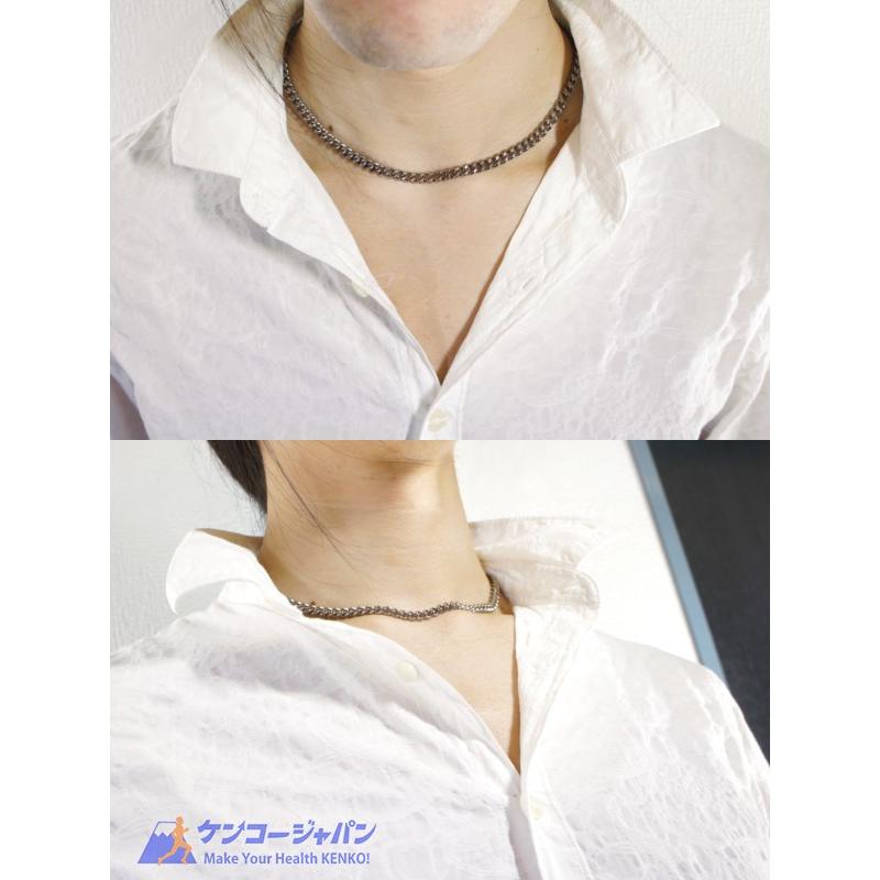 Phiten（ファイテン） チタンチェーン ネックレス 50cm | メンズ