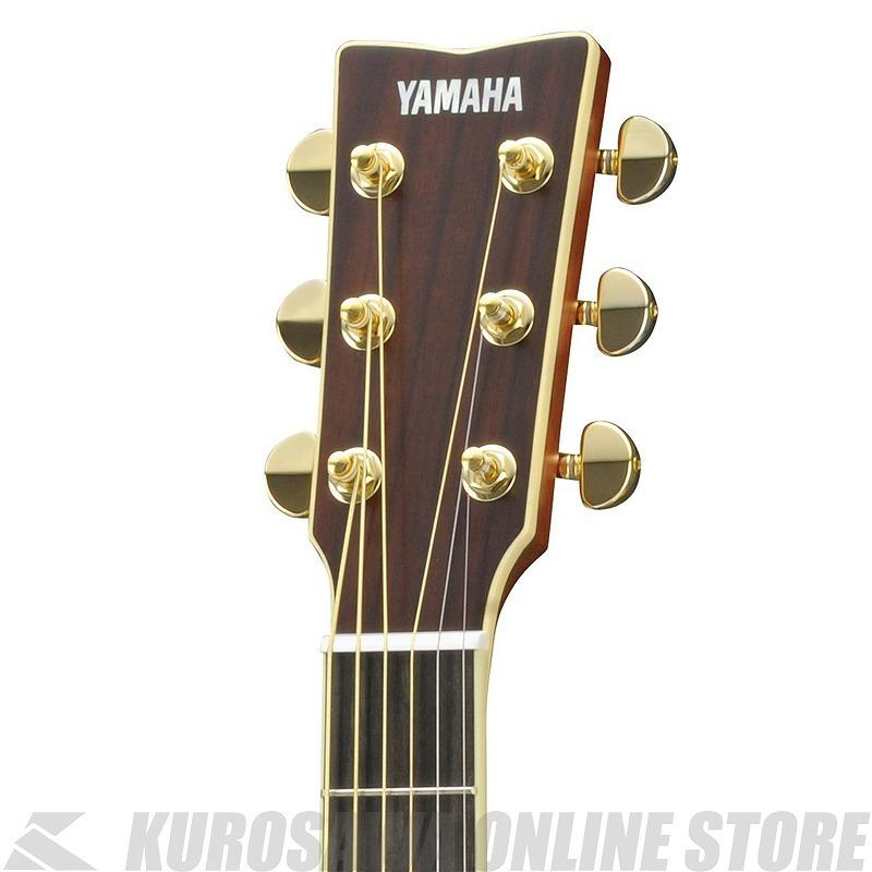 YAMAHA（ヤマハ） YAMAHA LL16 ARE BS 【送料無料