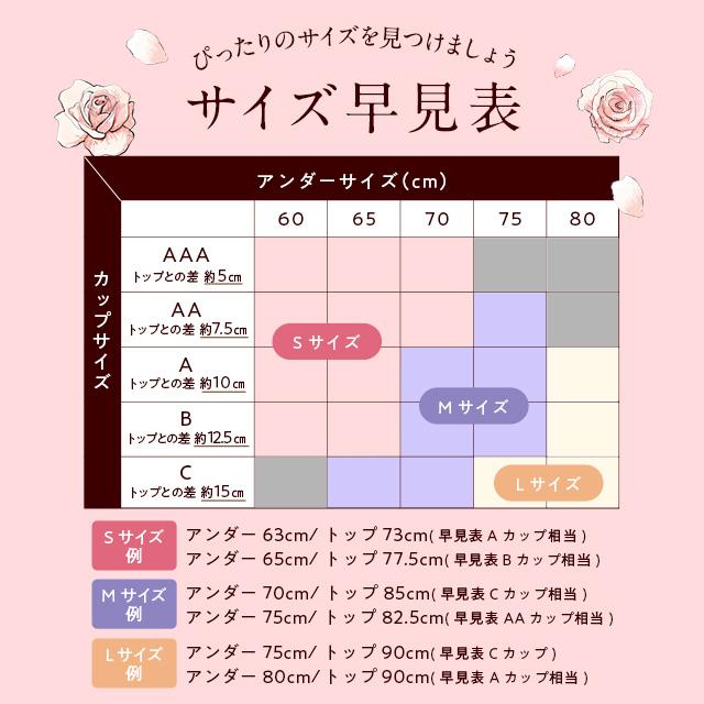 Luna ショーツ ナイトブラ セット 公式 3枚セット LUNAナチュラル